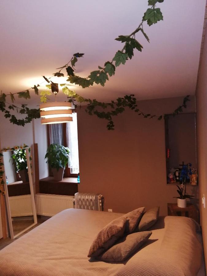 "Les Chaillottes" Chailles  Экстерьер фото